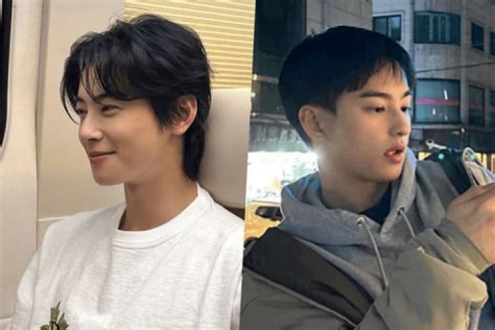 Cha Eunwoo's Brother: Exploring the Life and Connection